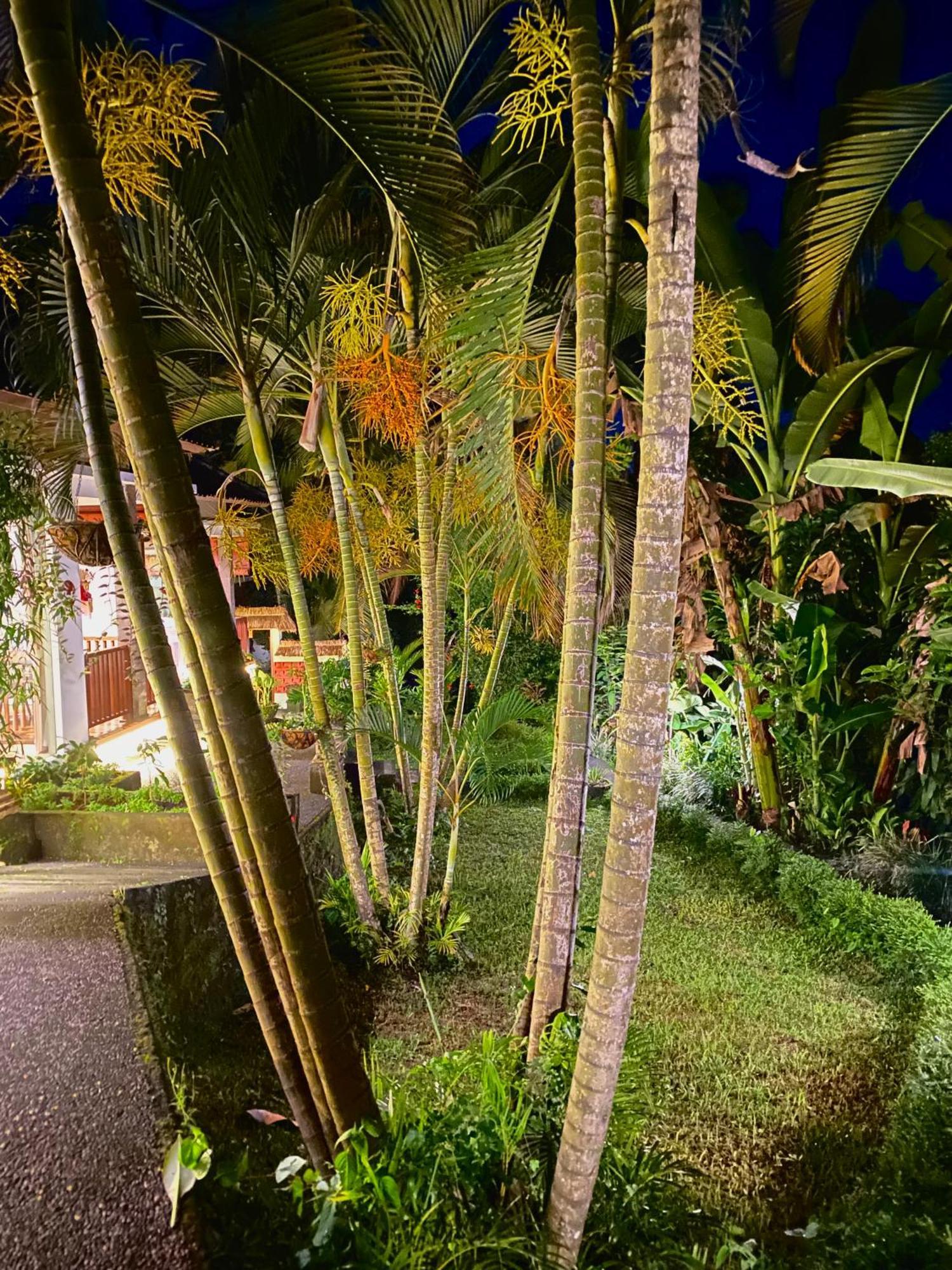 Ardan Maison Ubud Luaran gambar